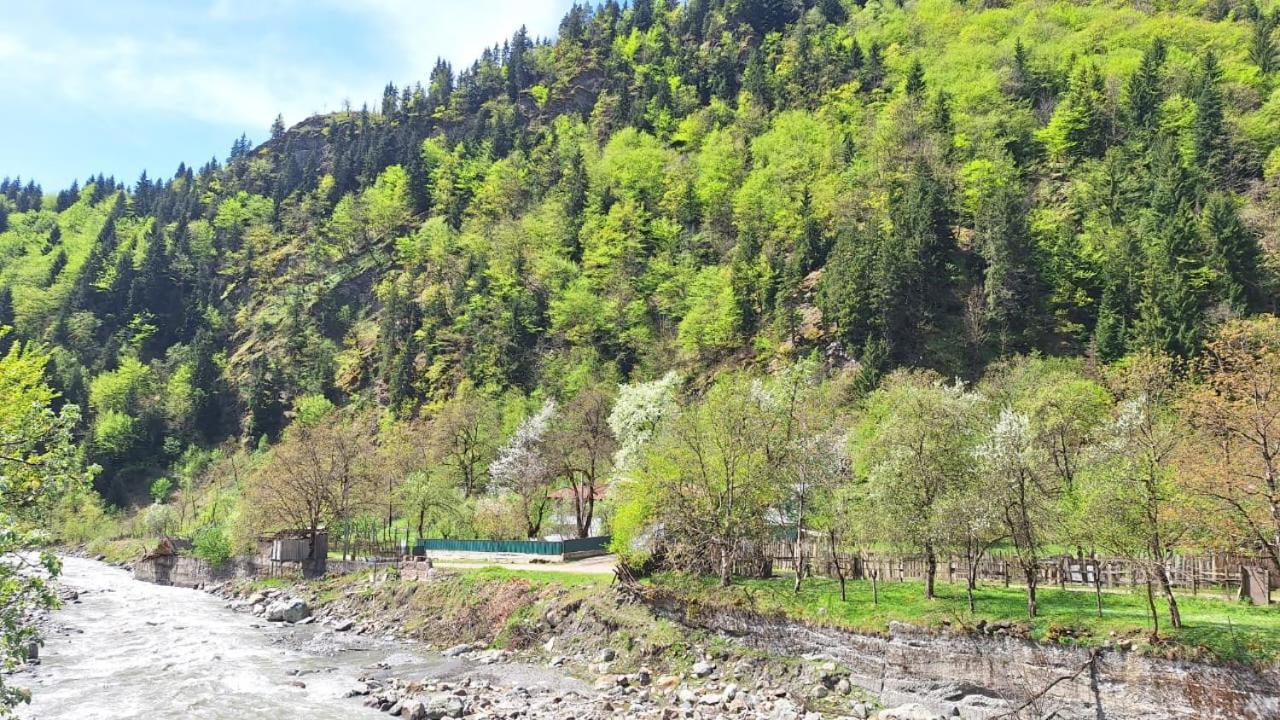 Guest House "Svaneti" Lentekhi Ngoại thất bức ảnh