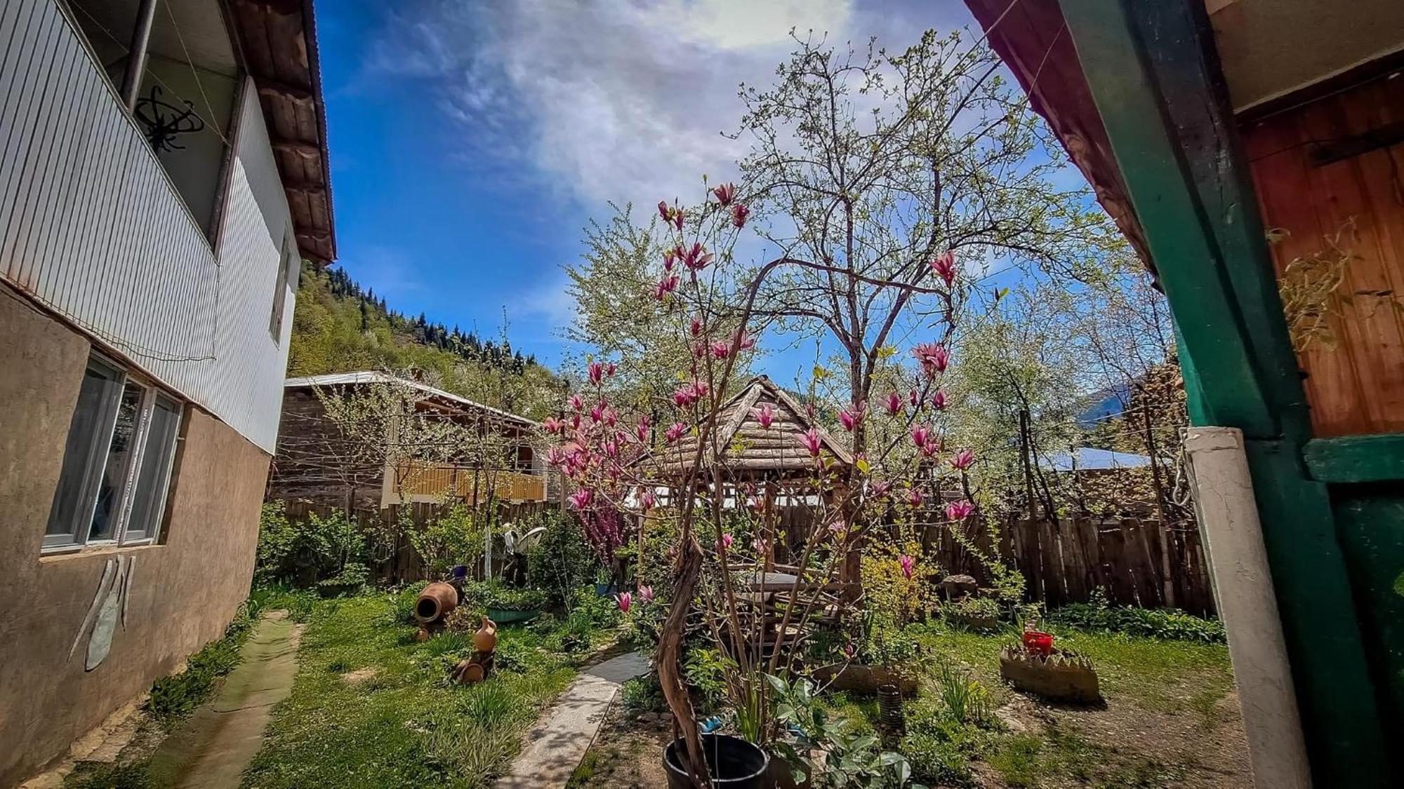 Guest House "Svaneti" Lentekhi Ngoại thất bức ảnh