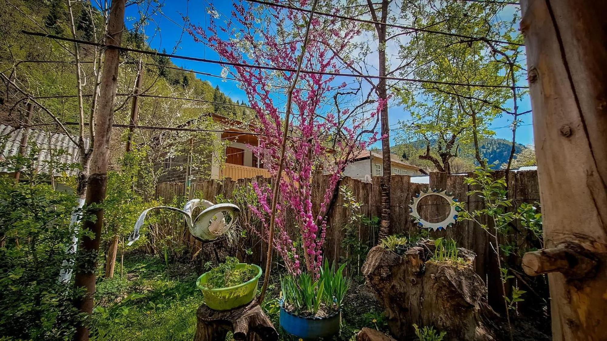 Guest House "Svaneti" Lentekhi Ngoại thất bức ảnh